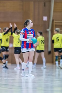 Bild 32 - F HSG Horst/Kieb - Lauenburger SV : Ergebnis: 26:23